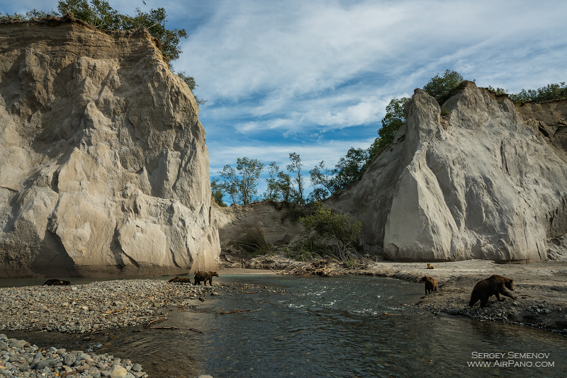 Bears in the Kronotsky Reserve, Kamchatka