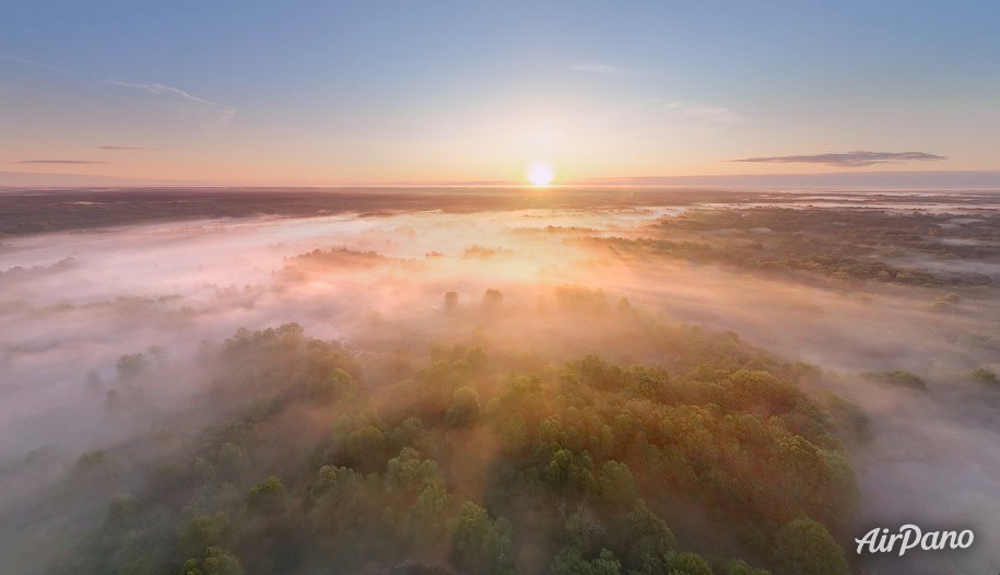 Bryansk forest on a foggy morning. Russia