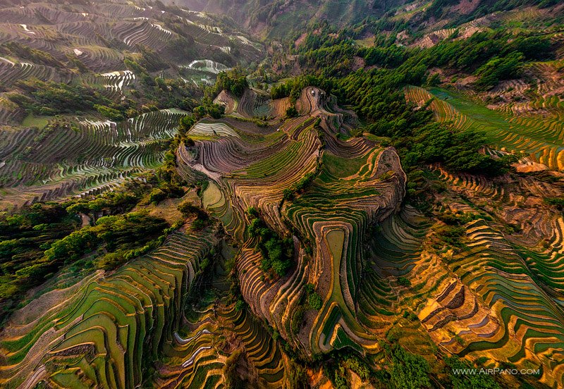 Yuanyang Rice Terraces