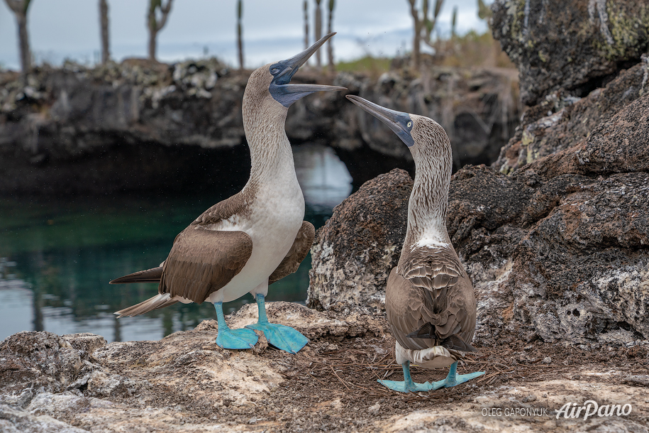 Galápagos, Ecuador