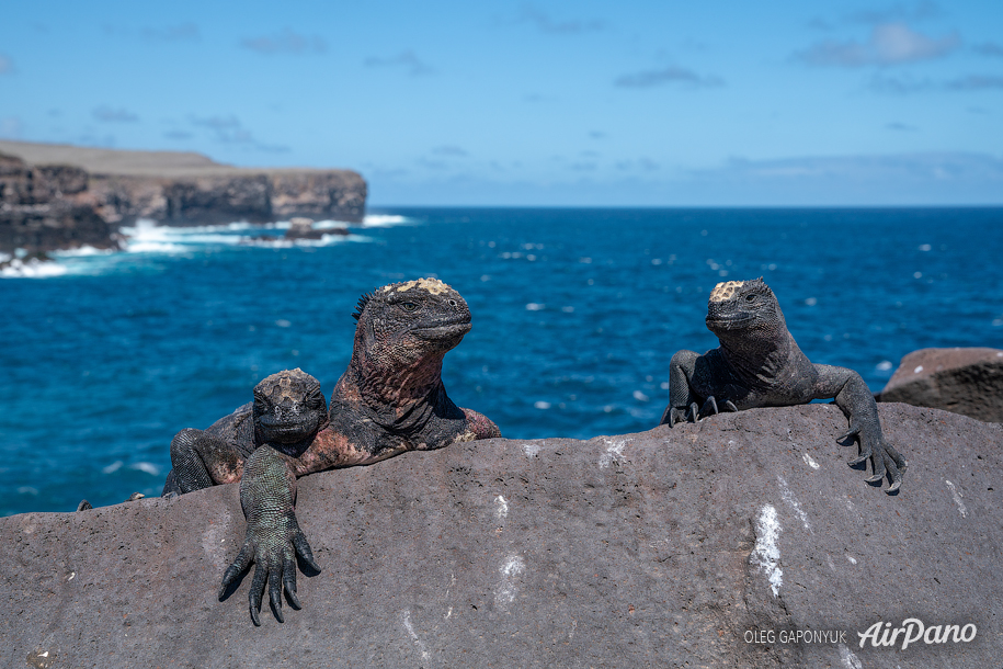 Galápagos, Ecuador