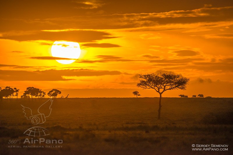 Sunset in Masai Mara