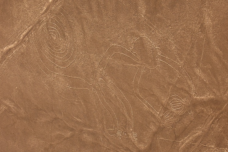 Nazca lines, the Monkey