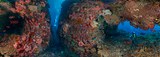 Underwater cave, Komodo, Indonesia