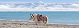 Namtso Lake, Tibet