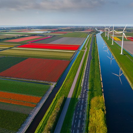 Holland. The country of tulips