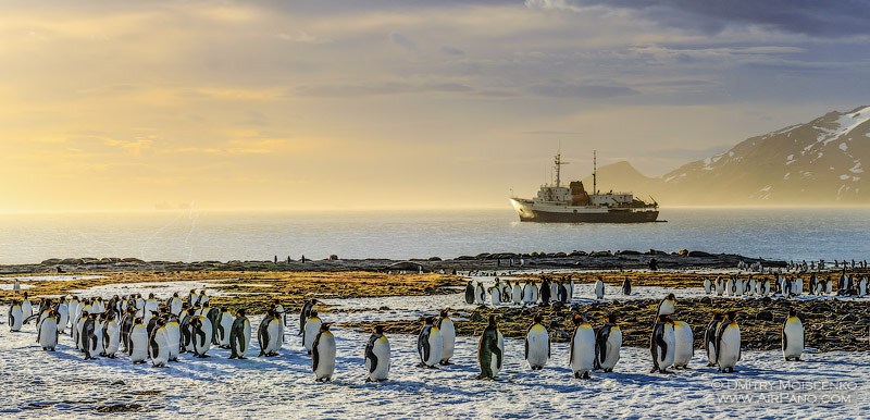 Antarctica, South Georgia Island