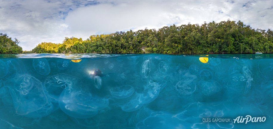 Jellyfish Bay. Raja Ampat, Indonesia 