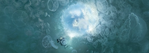 Jellyfish Bay, Raja Ampat, Indonesia