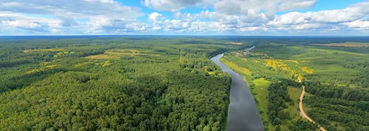 Four Seasons. Summer Forest. Relax Flight