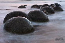 Moeraki boulders #10