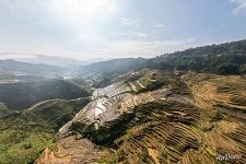 Terraces near Dapu village