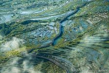 Clouds above Rice Terraces