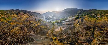 Yuanyang rice terraces #8