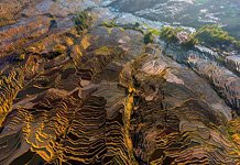 Yuanyang rice terraces #11