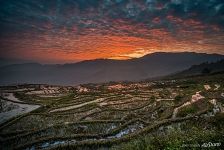 Rice Terraces