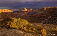 Lake Powell #55 Lake Powell #55