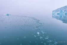 Waters of the Arctic Ocean