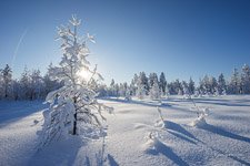 Kamchatka in winter #8