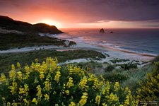 Sandfly Bay, Otago Peninsula #2