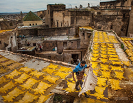 Leather production