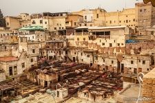 Chouara tannery #5