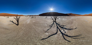 Deadvlei #6