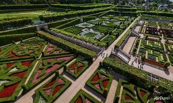 Gardens of the Château de Villandry