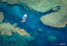 The Great Barrier Reef #32