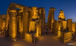 Colossuses. Luxor Temple