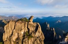 Stone Monkey Gazing Over the Sea of Clouds