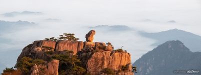 Stone Monkey Gazing Over the Sea of Clouds