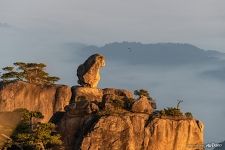 Stone Monkey Gazing Over the Sea of Clouds