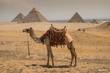 Great Pyramids of Giza in Egypt