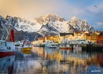 Yachts in Lofoten