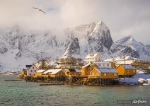 Coast of Lofoten