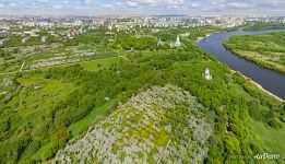 Kolomenskoye from above