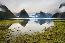 Milford Sound, New Zealand