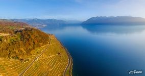 Vineyards and Lake Geneva