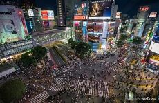 Shibuya Crossing