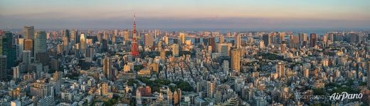 Tokyo Panorama