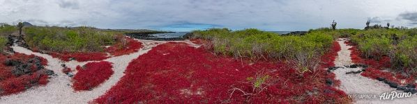 Galapagos Archipelago