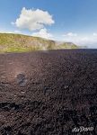 Sierra Negra volcano, Isabela Island