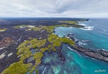 Pacific Ocean, Isabela Island