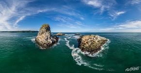 Steller sea lions. Kozlov’s stone