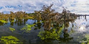 Sunny day on the lake in Louisiana