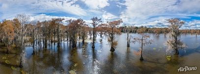 Autumn on the lake in Texas