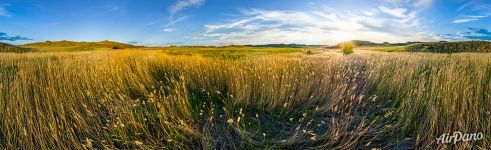 Beskain natural landmark. Feather grass