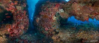 Underwater world of Komodo