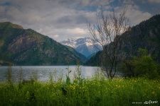 Lake Sary-Chelek